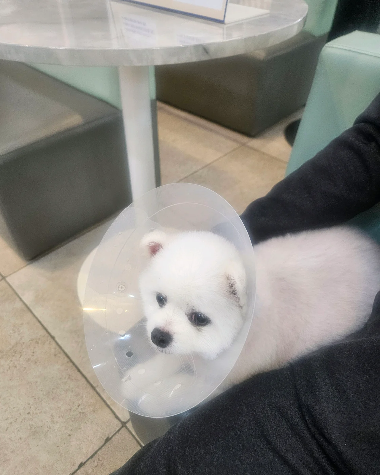 리뷰 사진 1