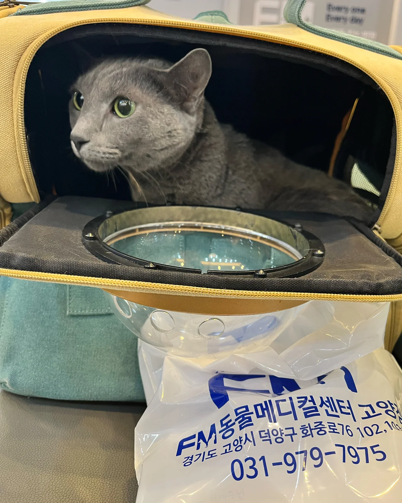 리뷰 사진 1