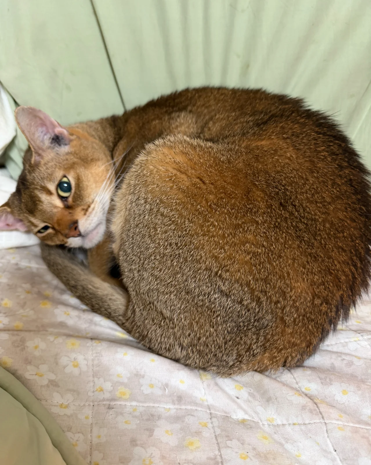 리뷰 사진 3