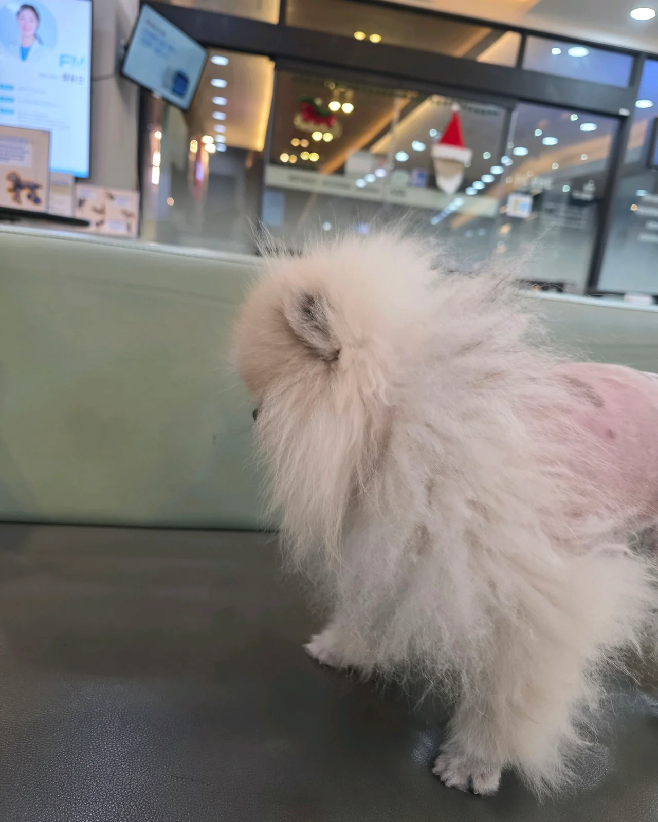 리뷰 사진 2