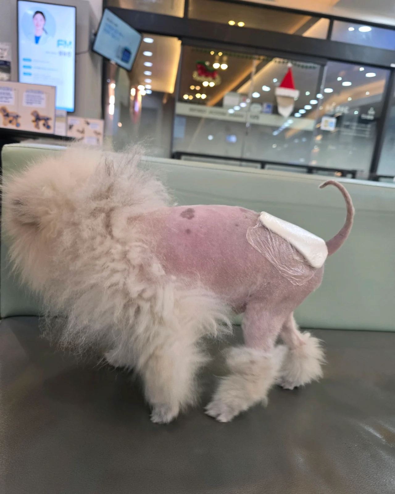 리뷰 사진 3