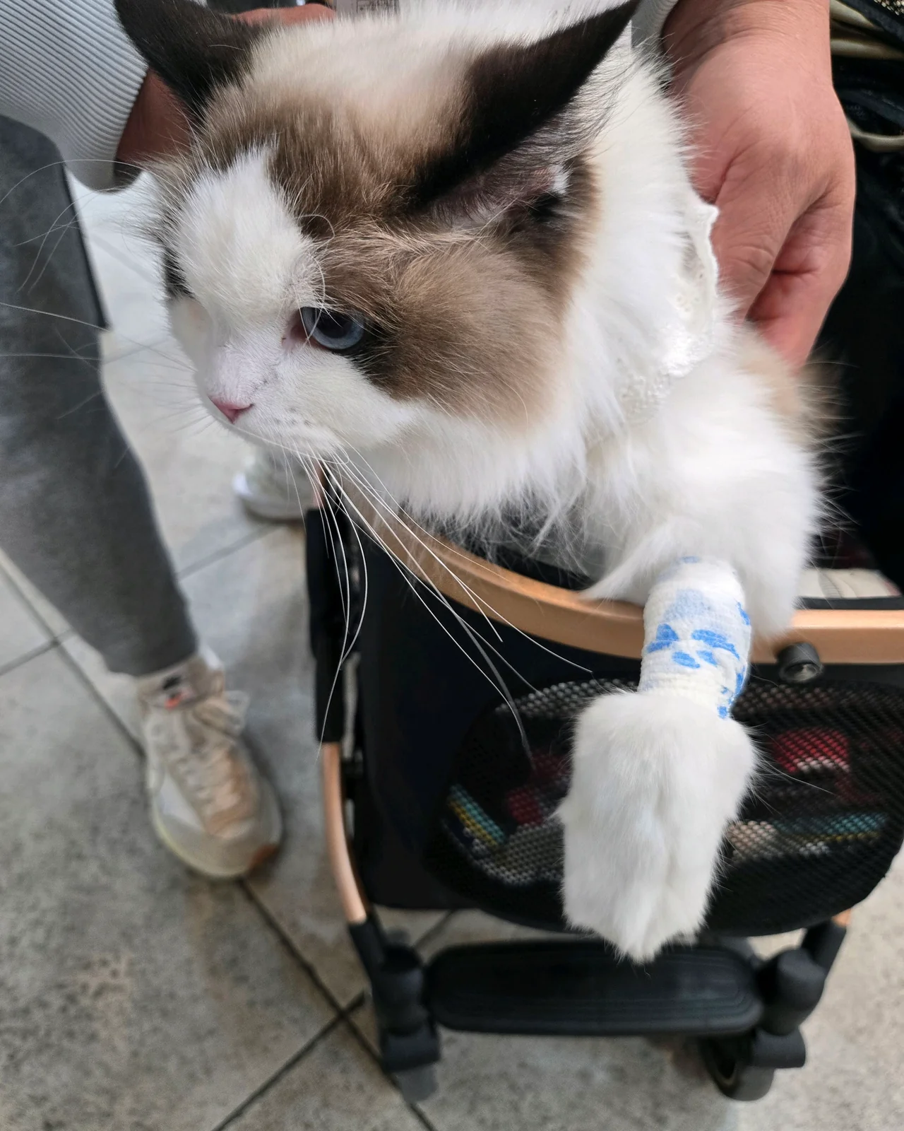 리뷰 사진 2