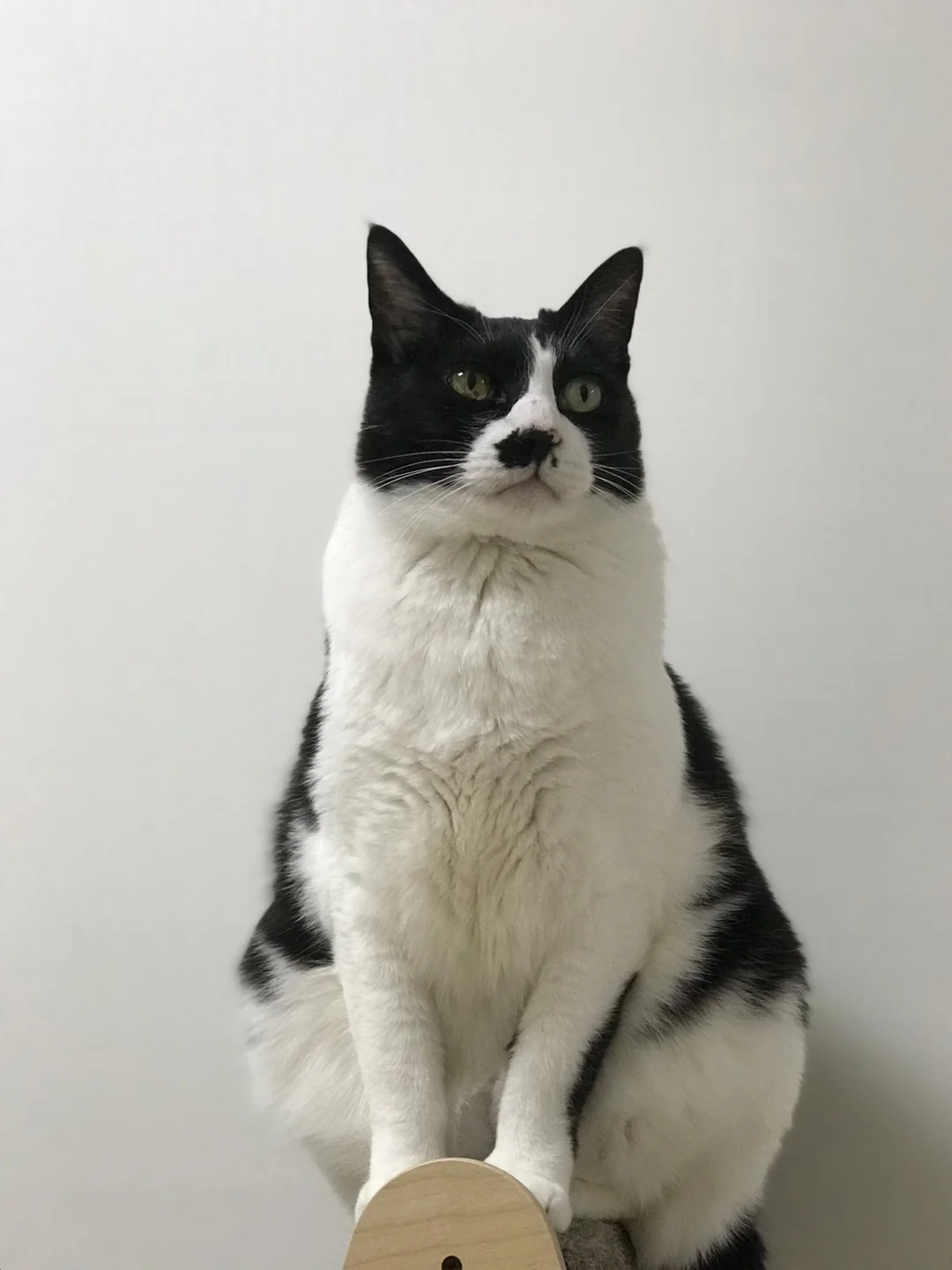 리뷰 사진 2