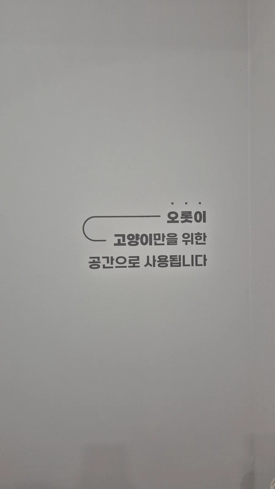 리뷰 사진 2
