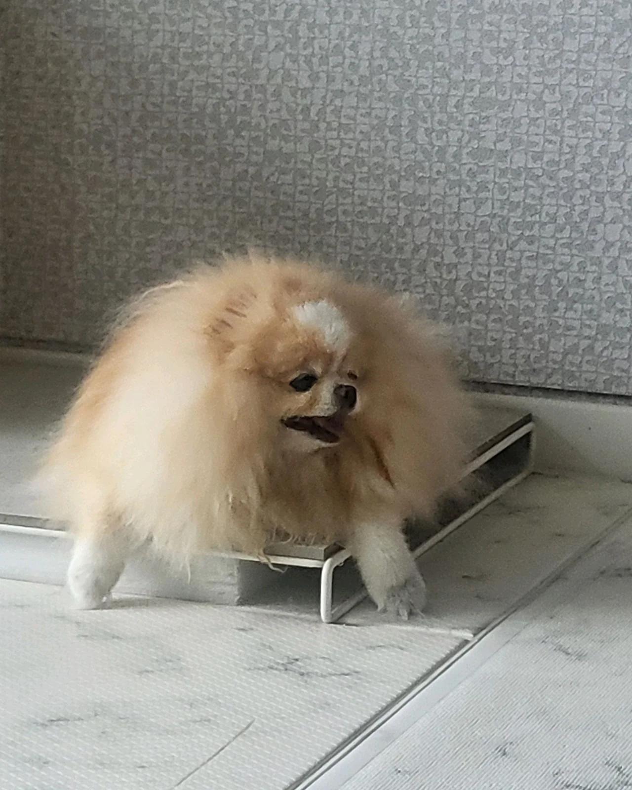 리뷰 사진 1