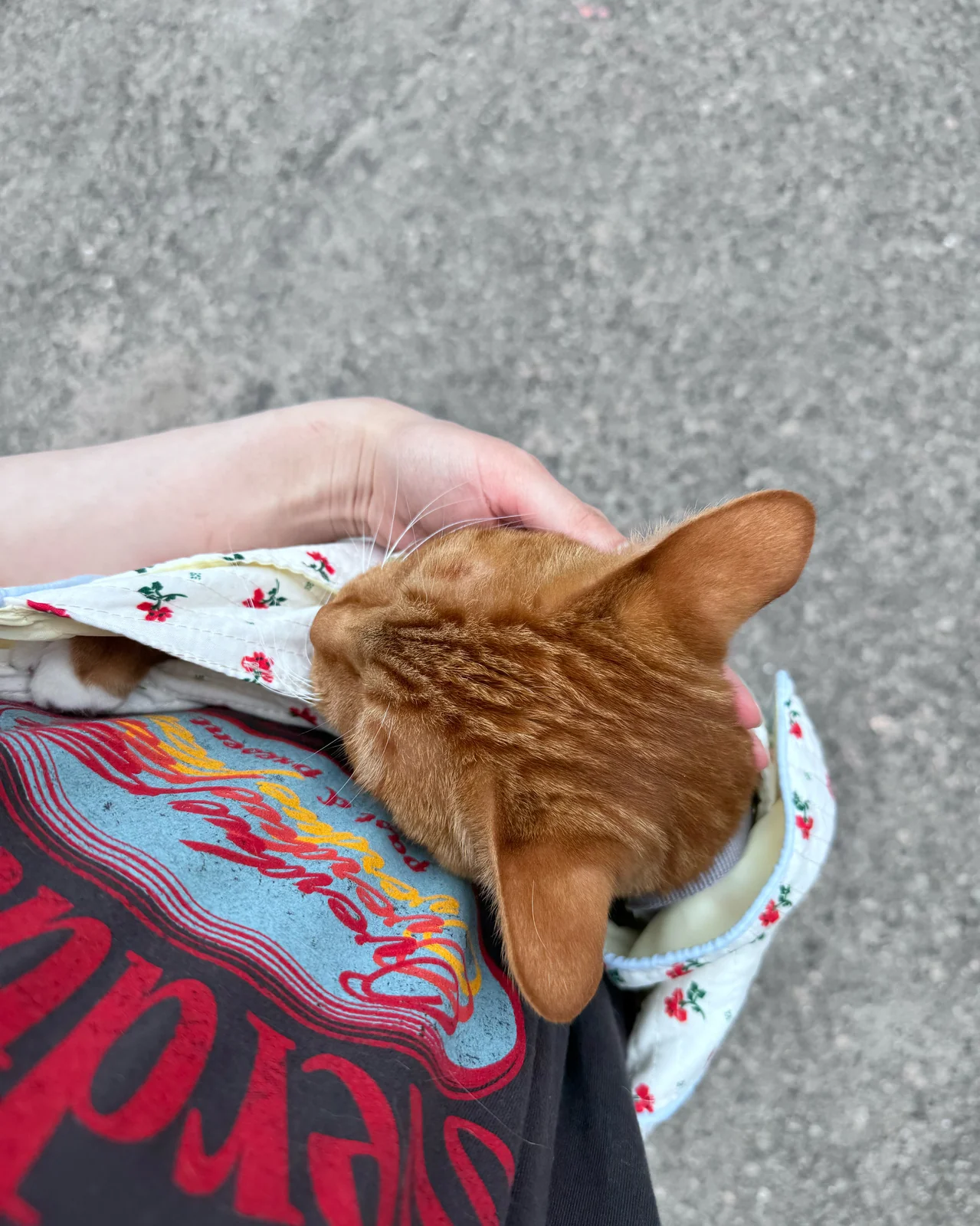 리뷰 사진 1
