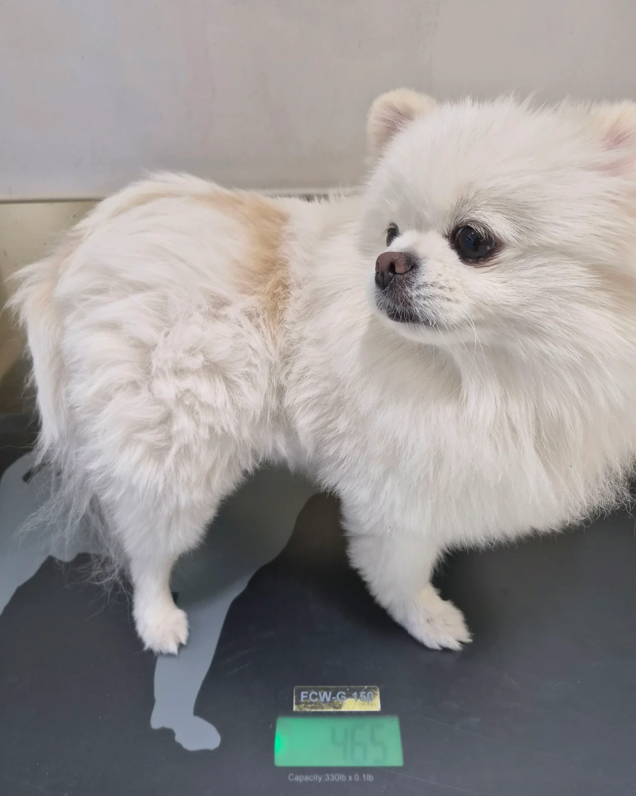 리뷰 사진 1