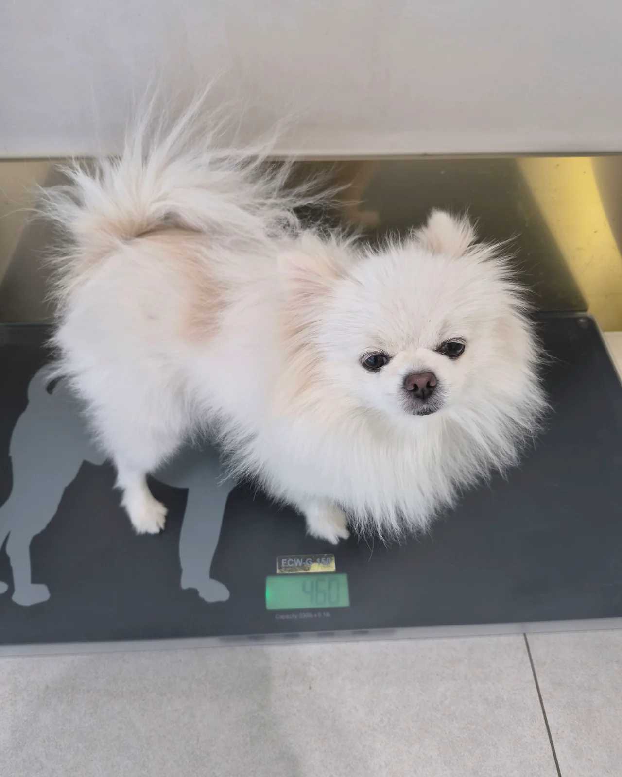 리뷰 사진 1