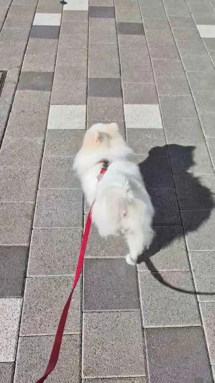 리뷰 사진 3
