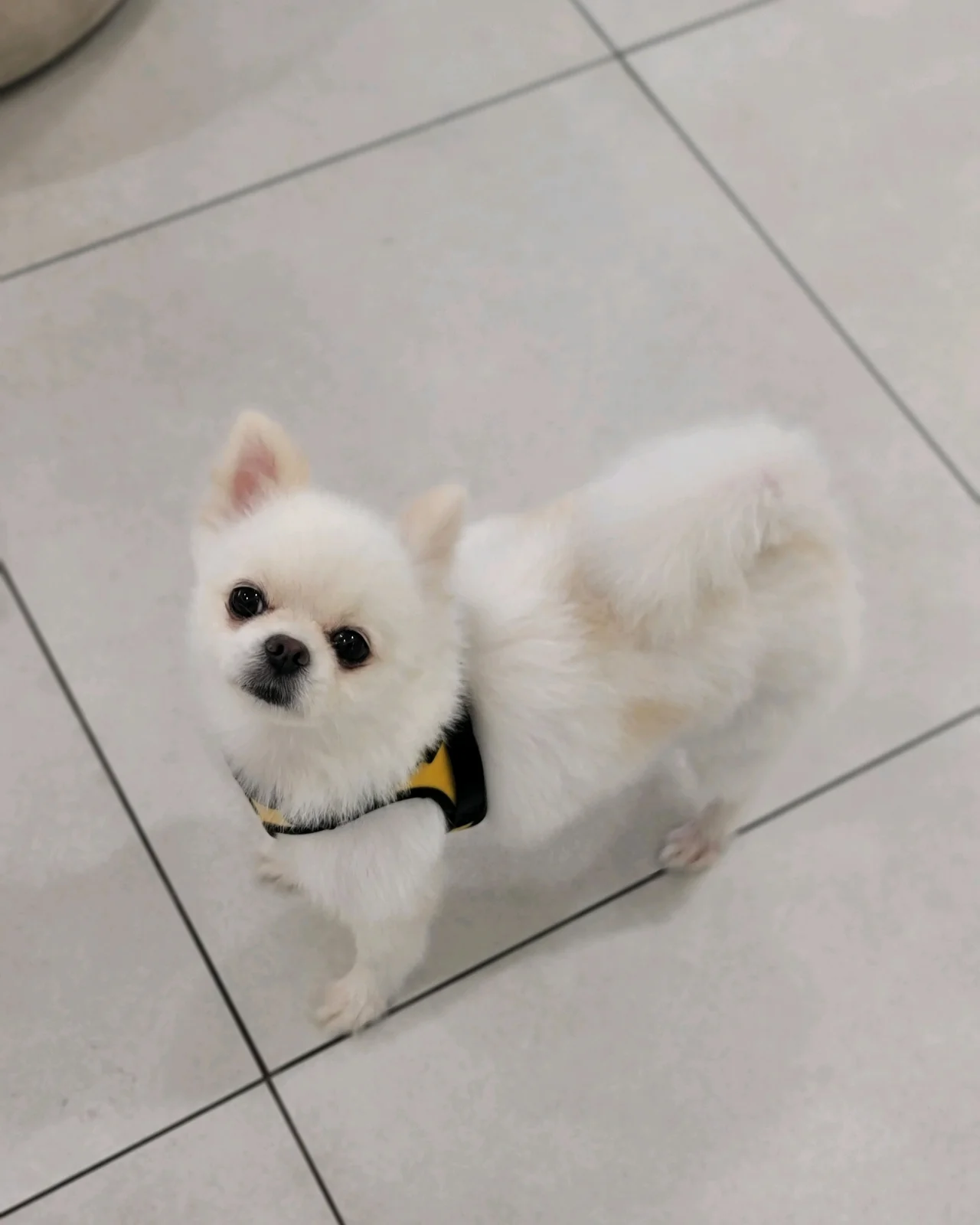 리뷰 사진 3