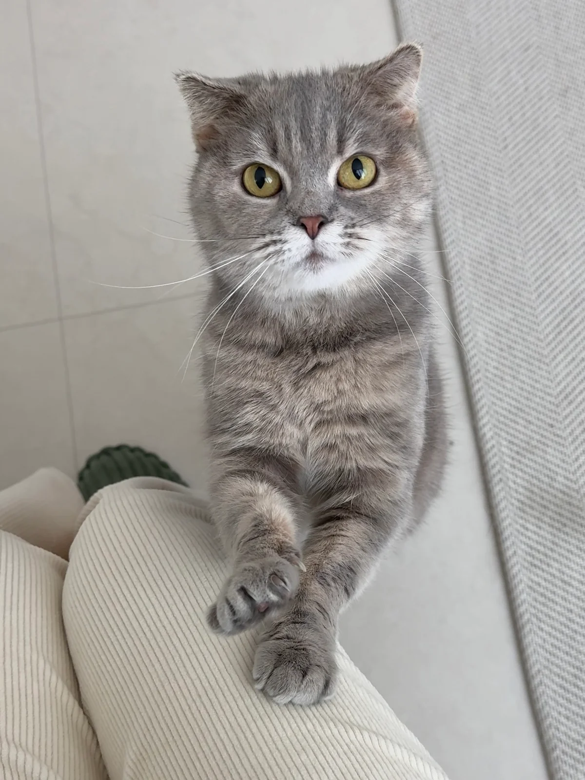 리뷰 사진 1