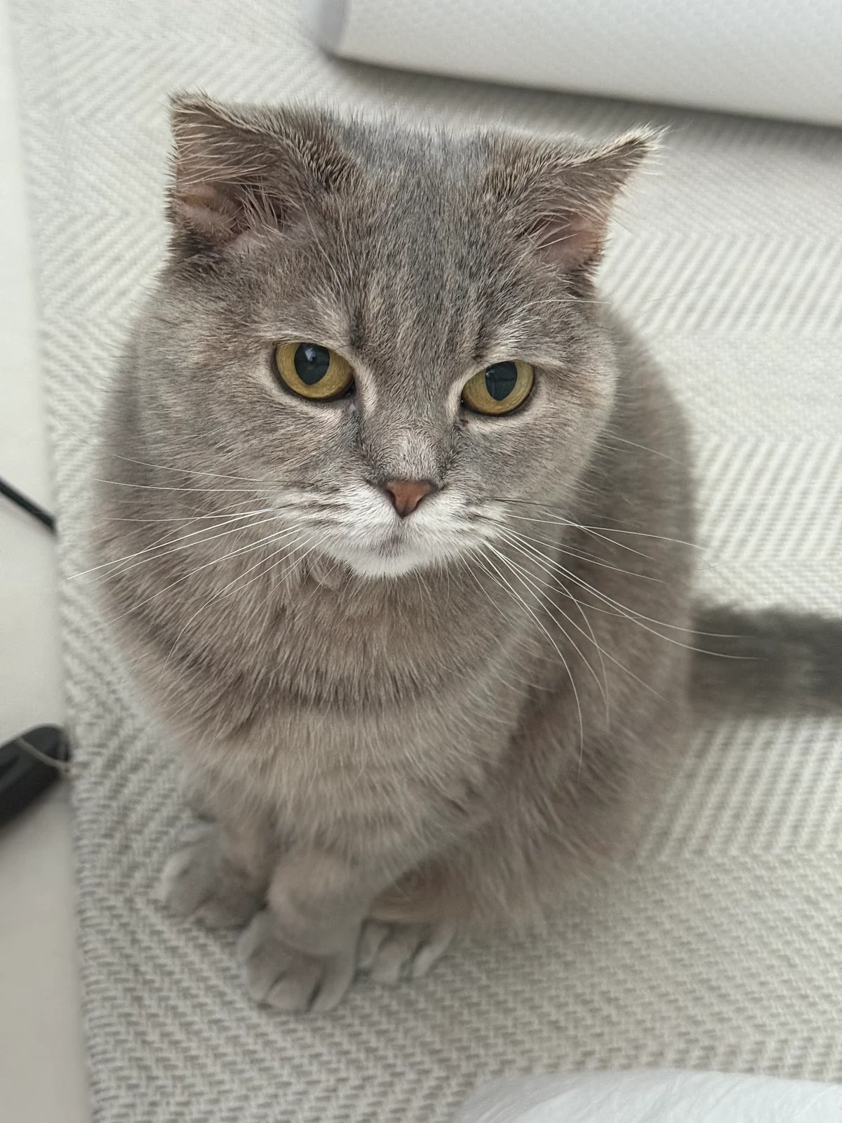 리뷰 사진 2