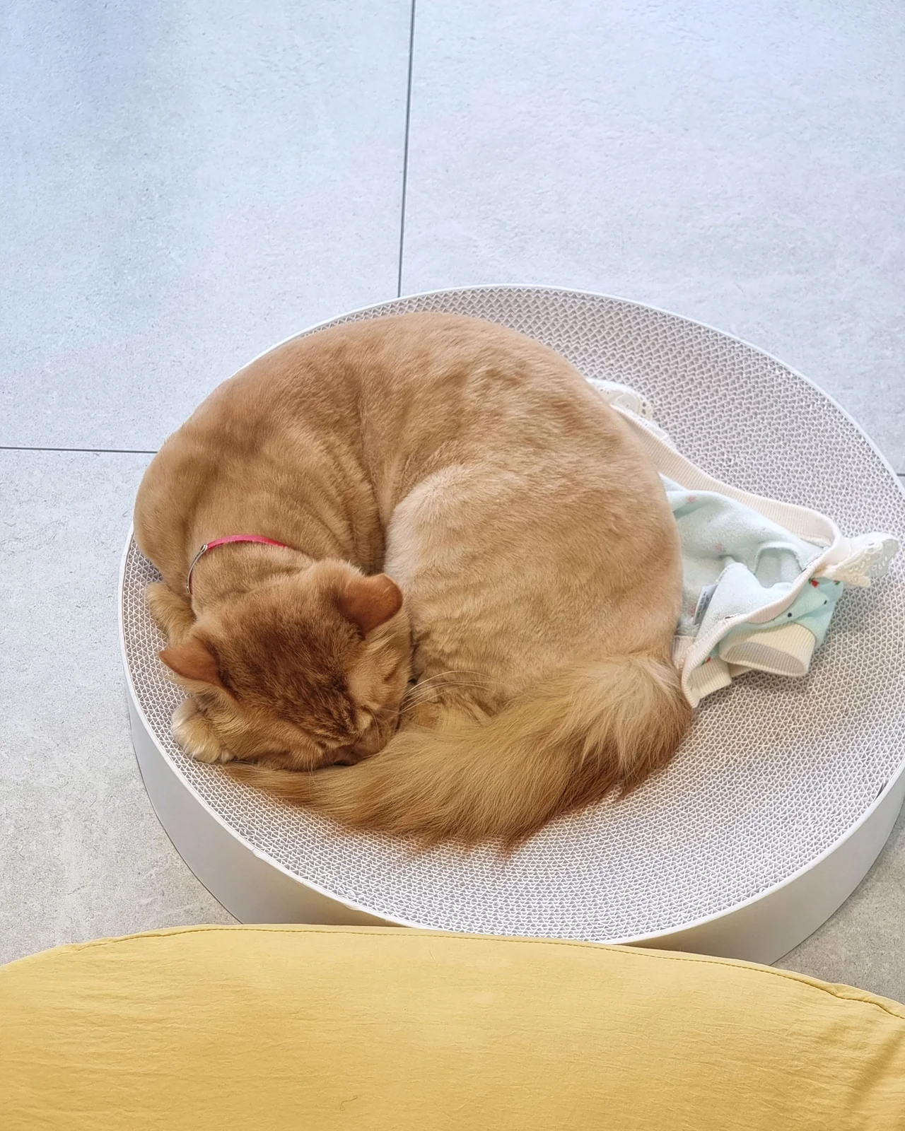 리뷰 사진 2