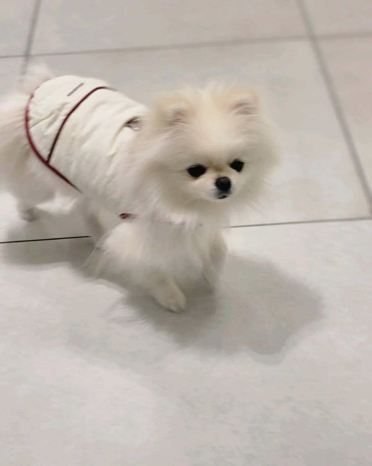 리뷰 사진 2