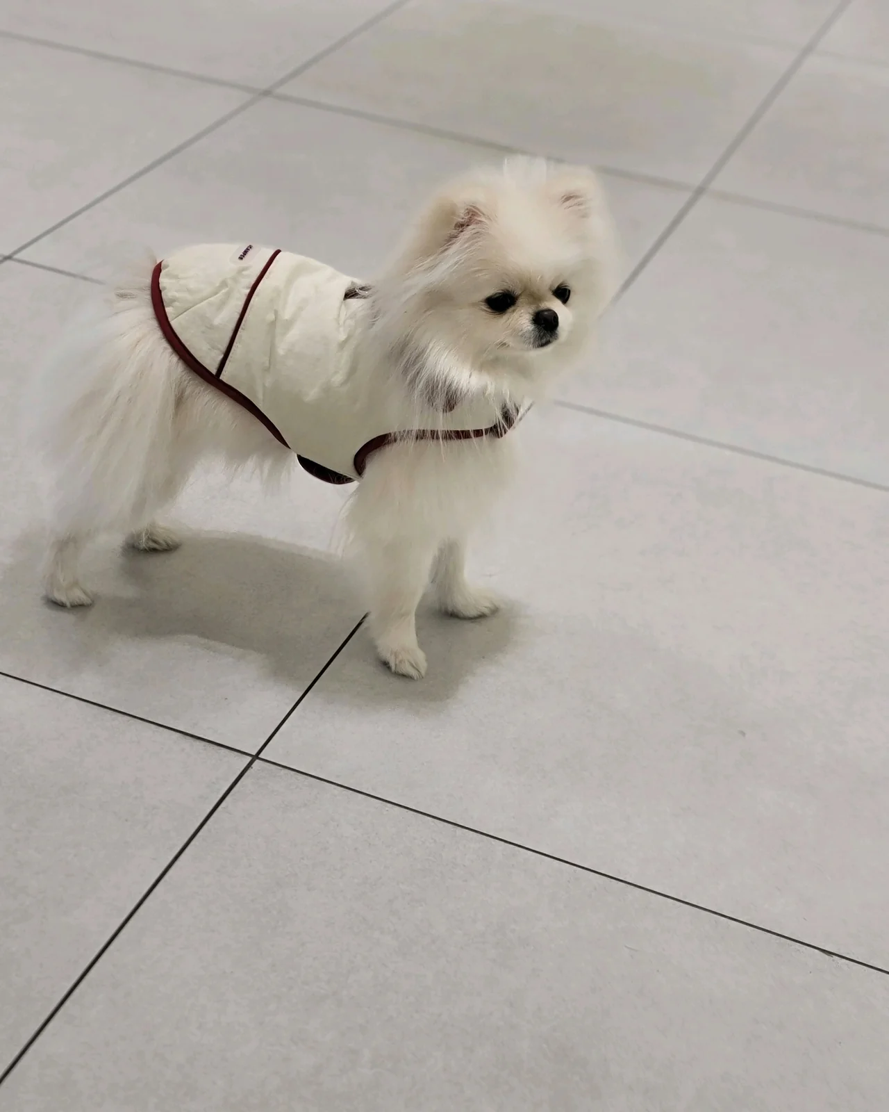 리뷰 사진 3