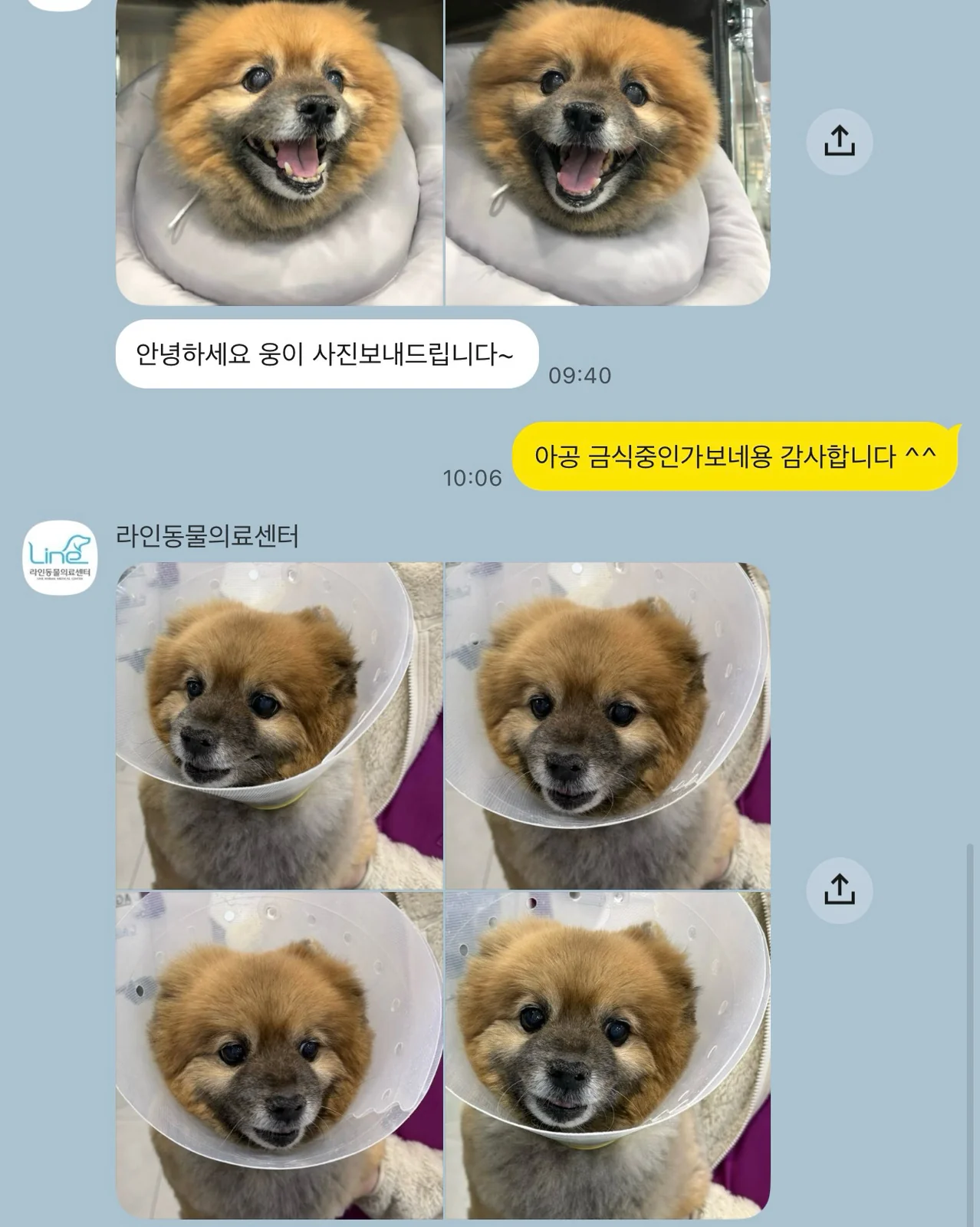리뷰 사진 2