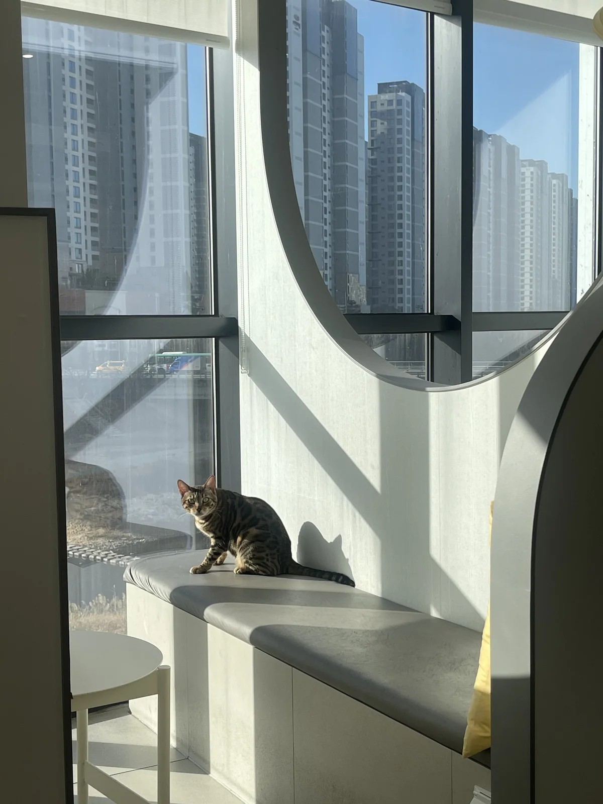 리뷰 사진 2