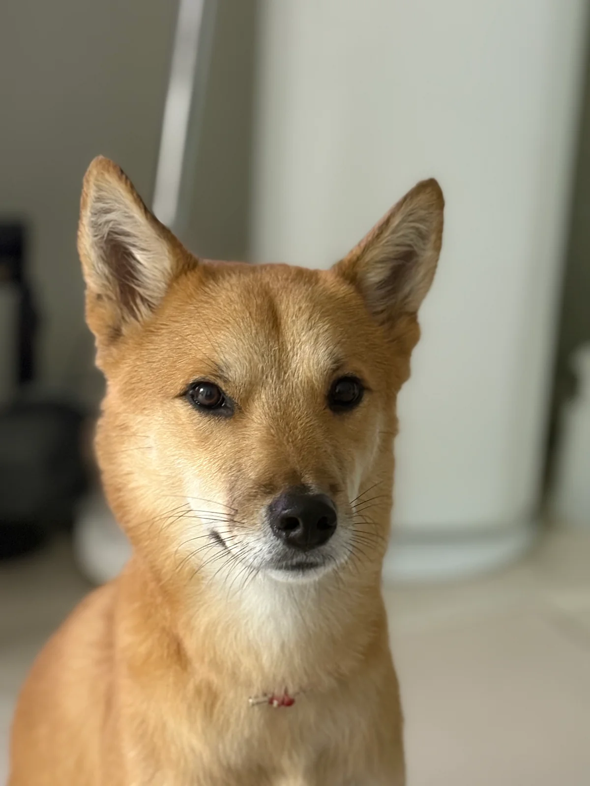 리뷰 사진 1