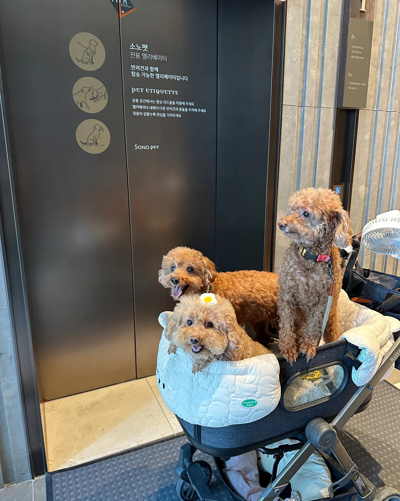 리뷰 사진 2