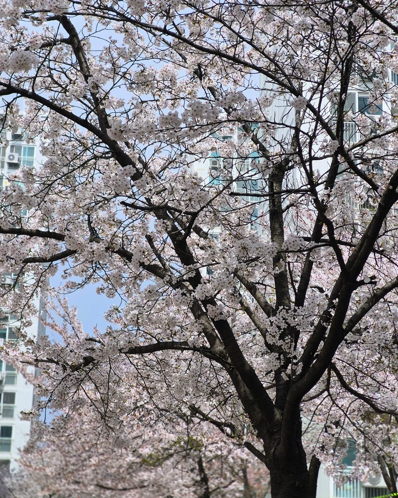 리뷰 사진 1