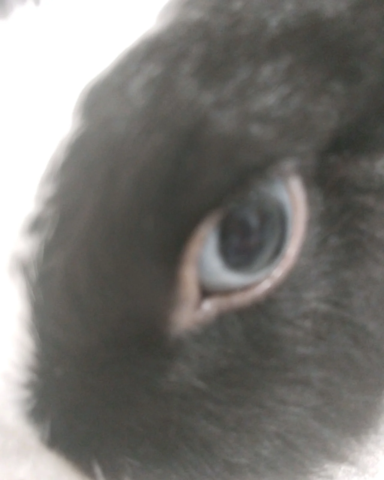 리뷰 사진 1