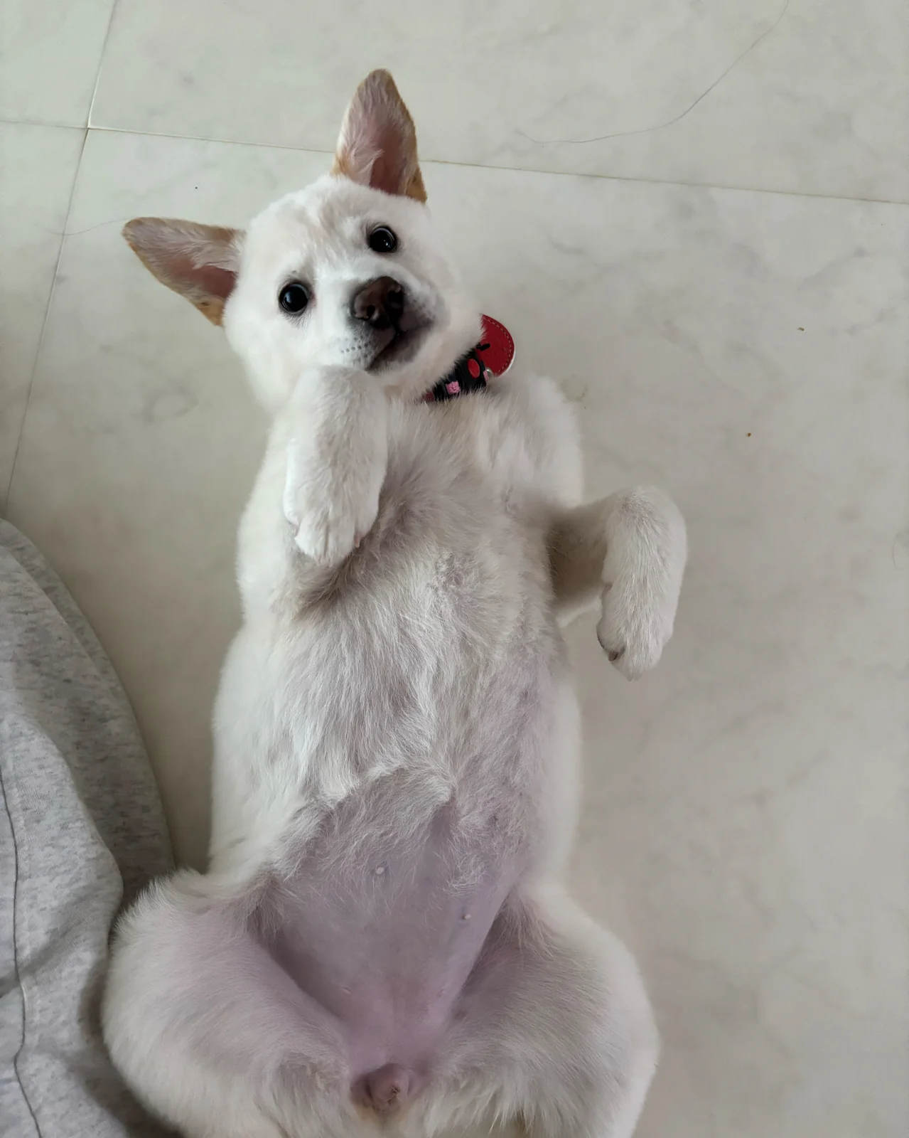 리뷰 사진 1