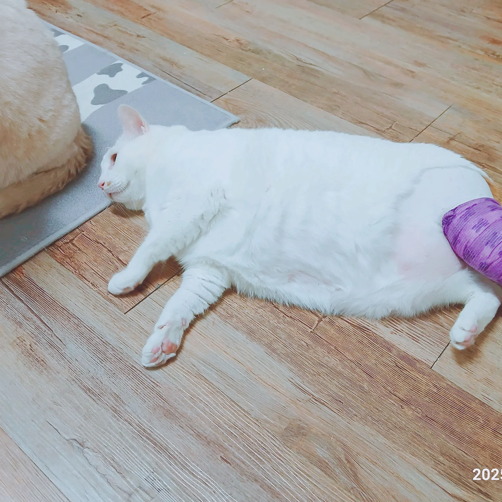 리뷰 사진 1