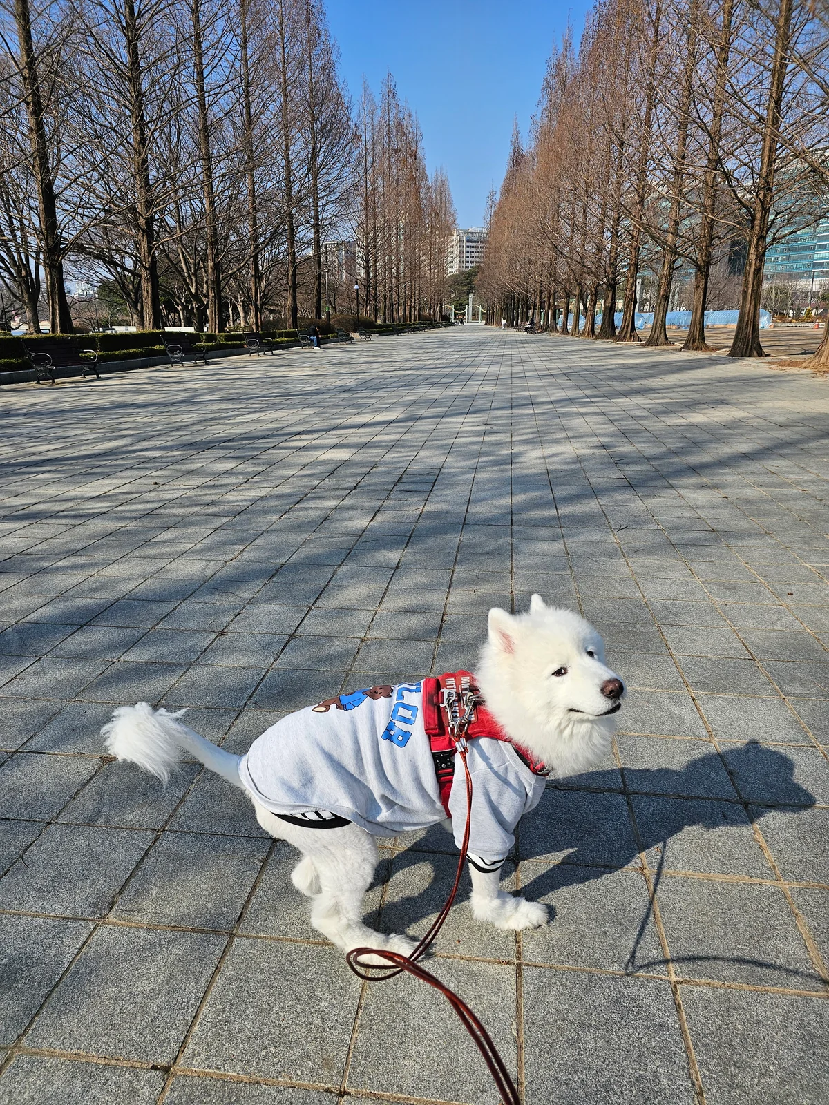 리뷰 사진 1