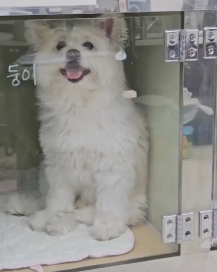리뷰 사진 1