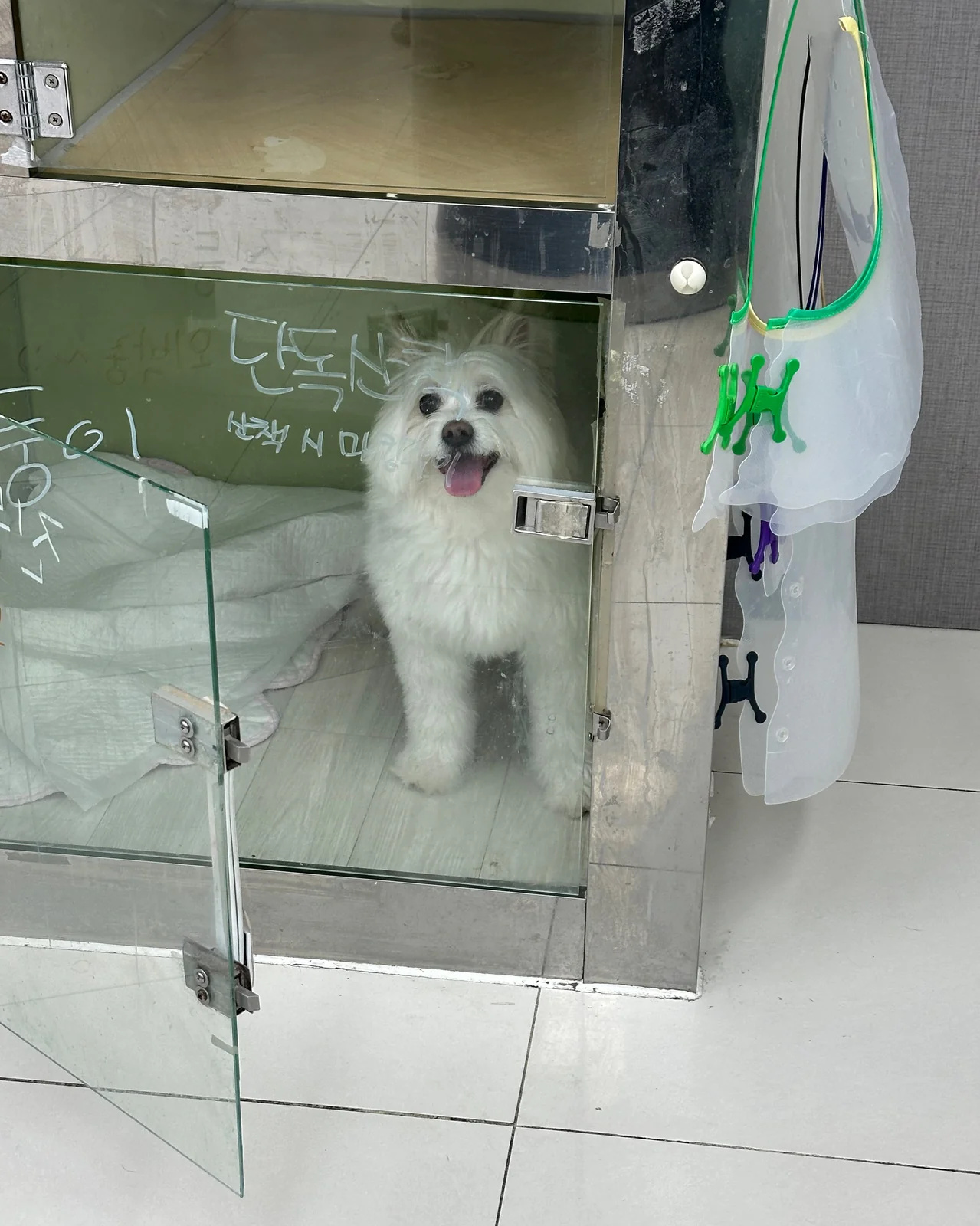 리뷰 사진 2