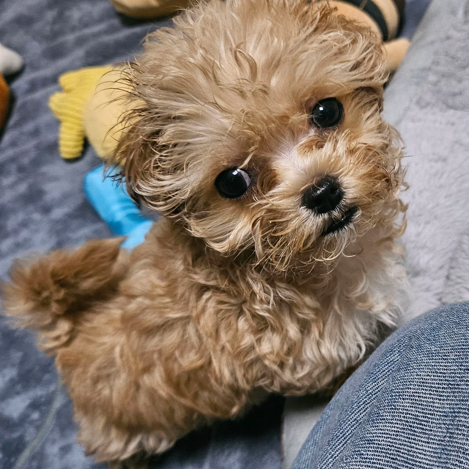 리뷰 사진 1