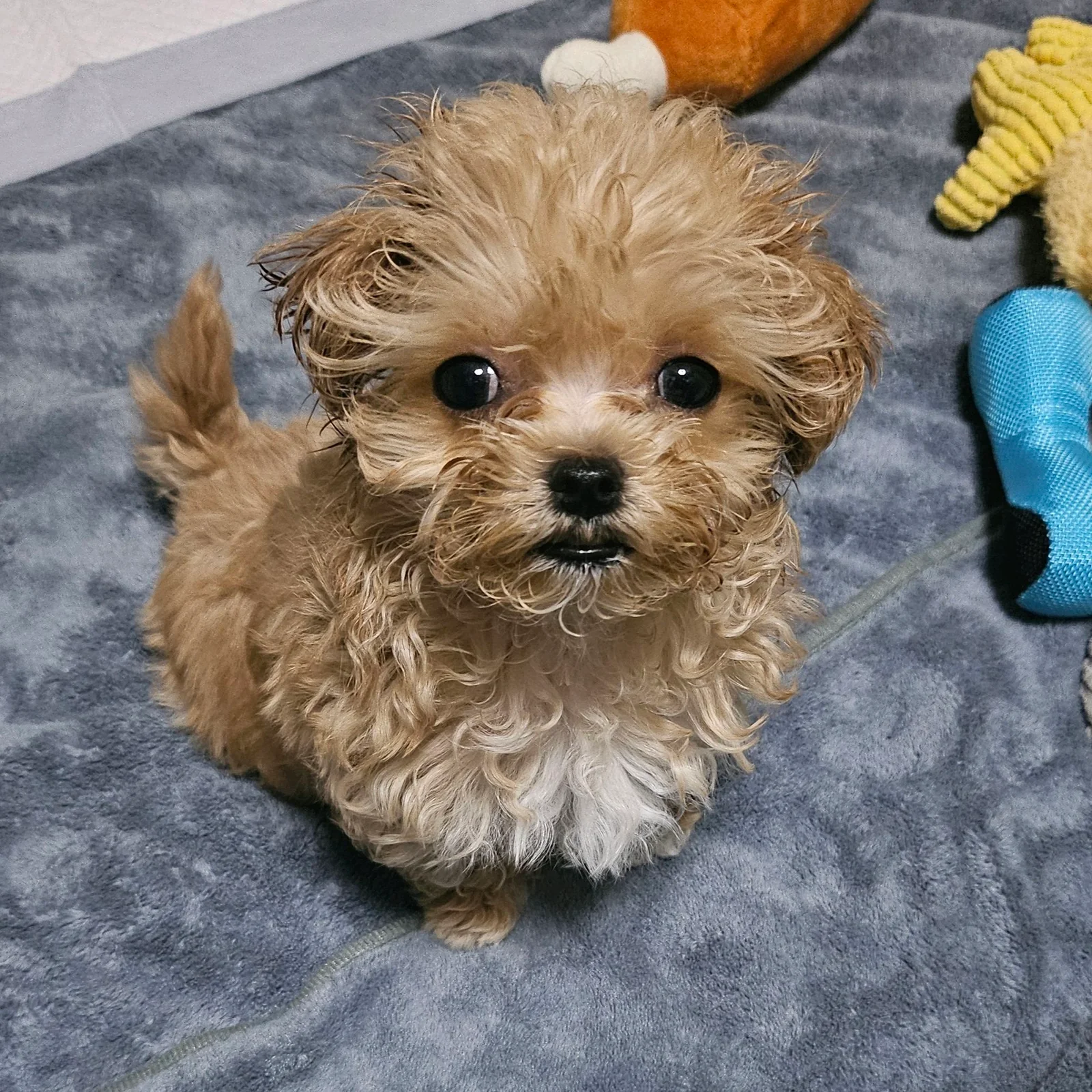 리뷰 사진 2