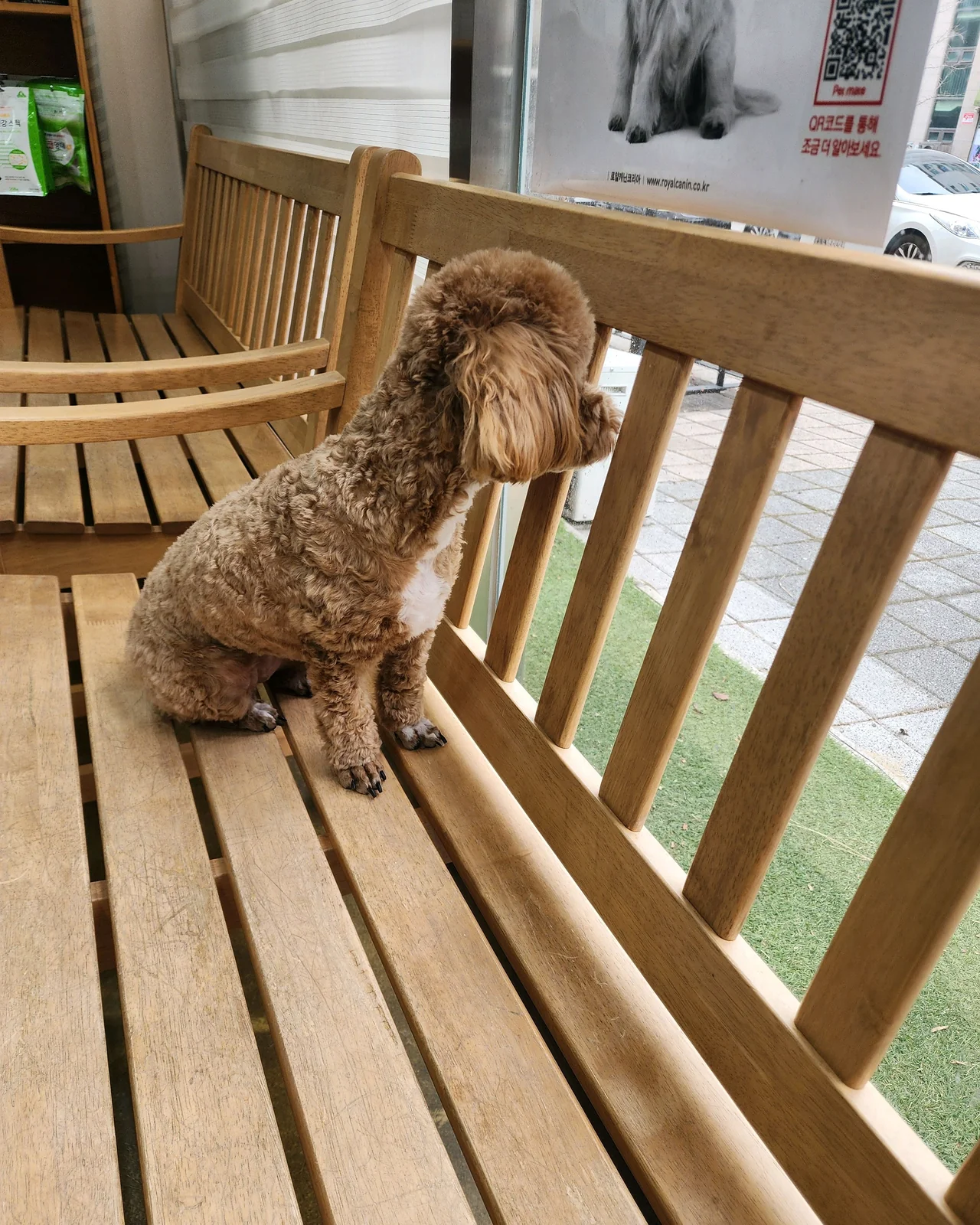 리뷰 사진 1