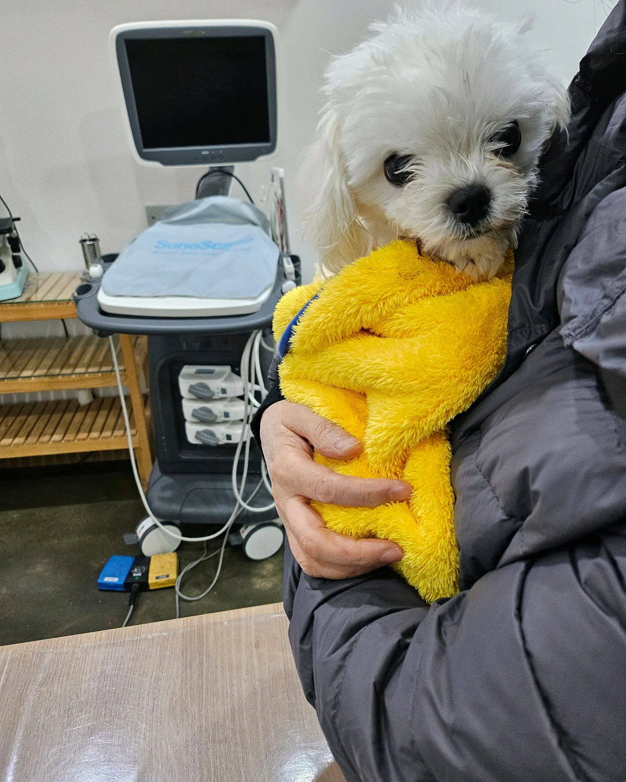 리뷰 사진 1