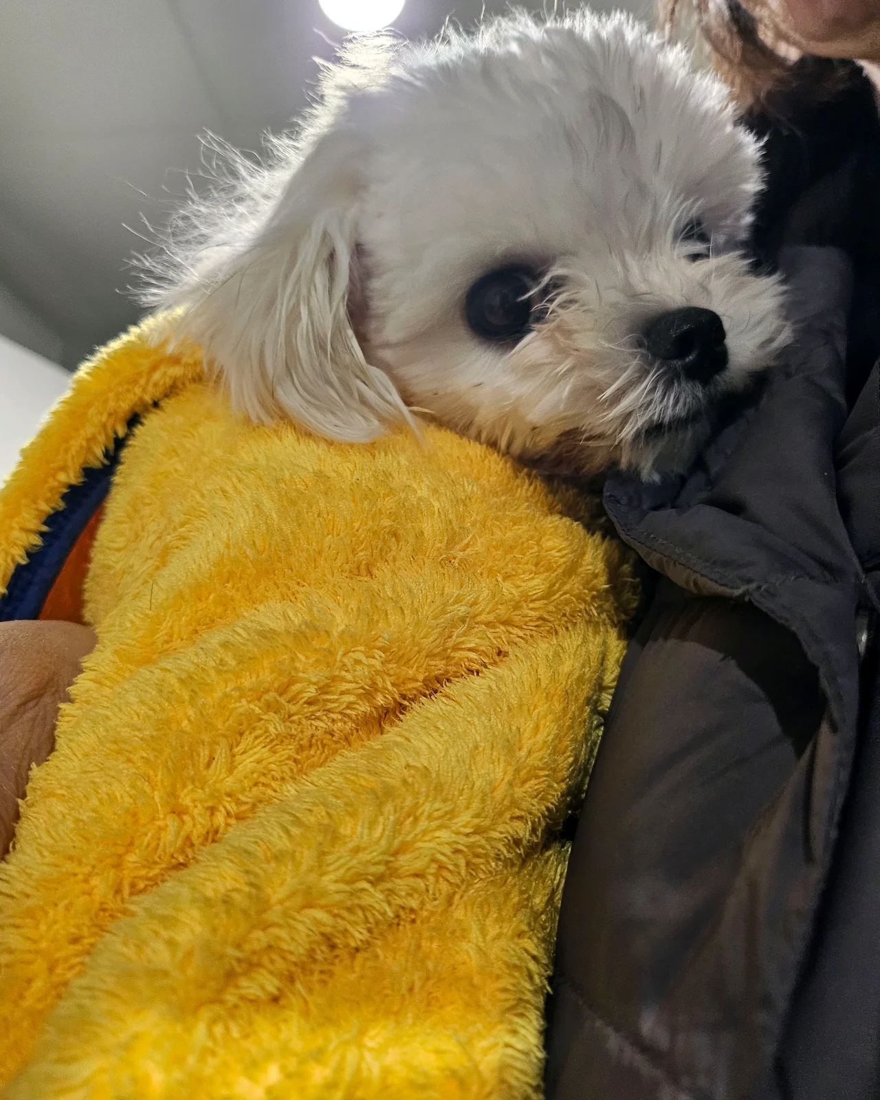 리뷰 사진 4