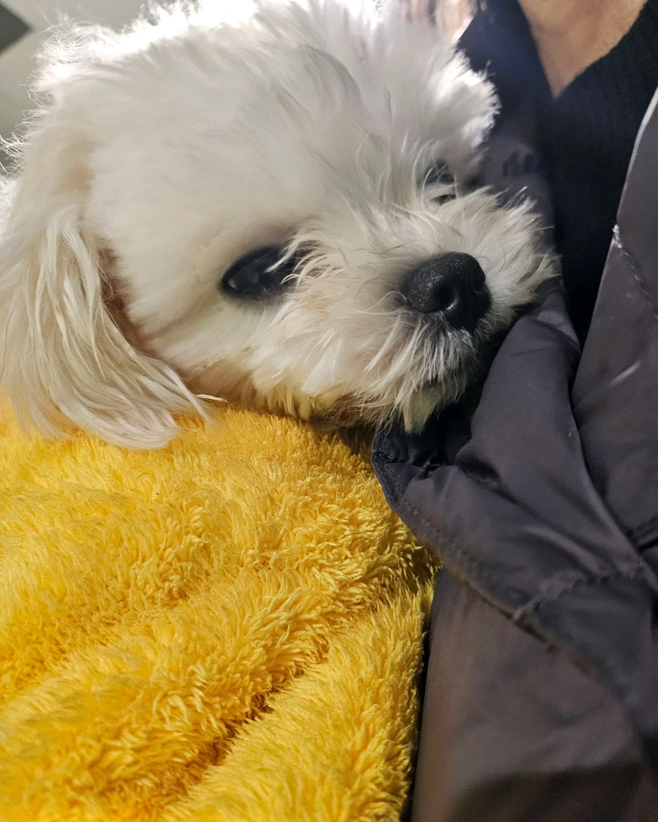 리뷰 사진 5