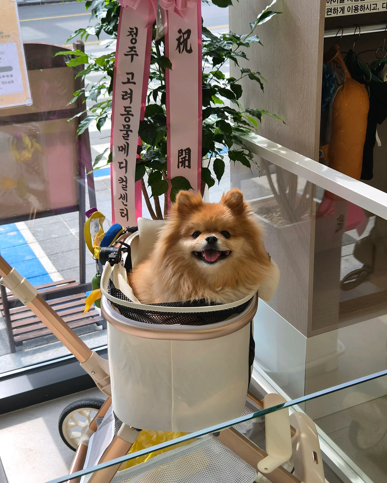 리뷰 사진 1