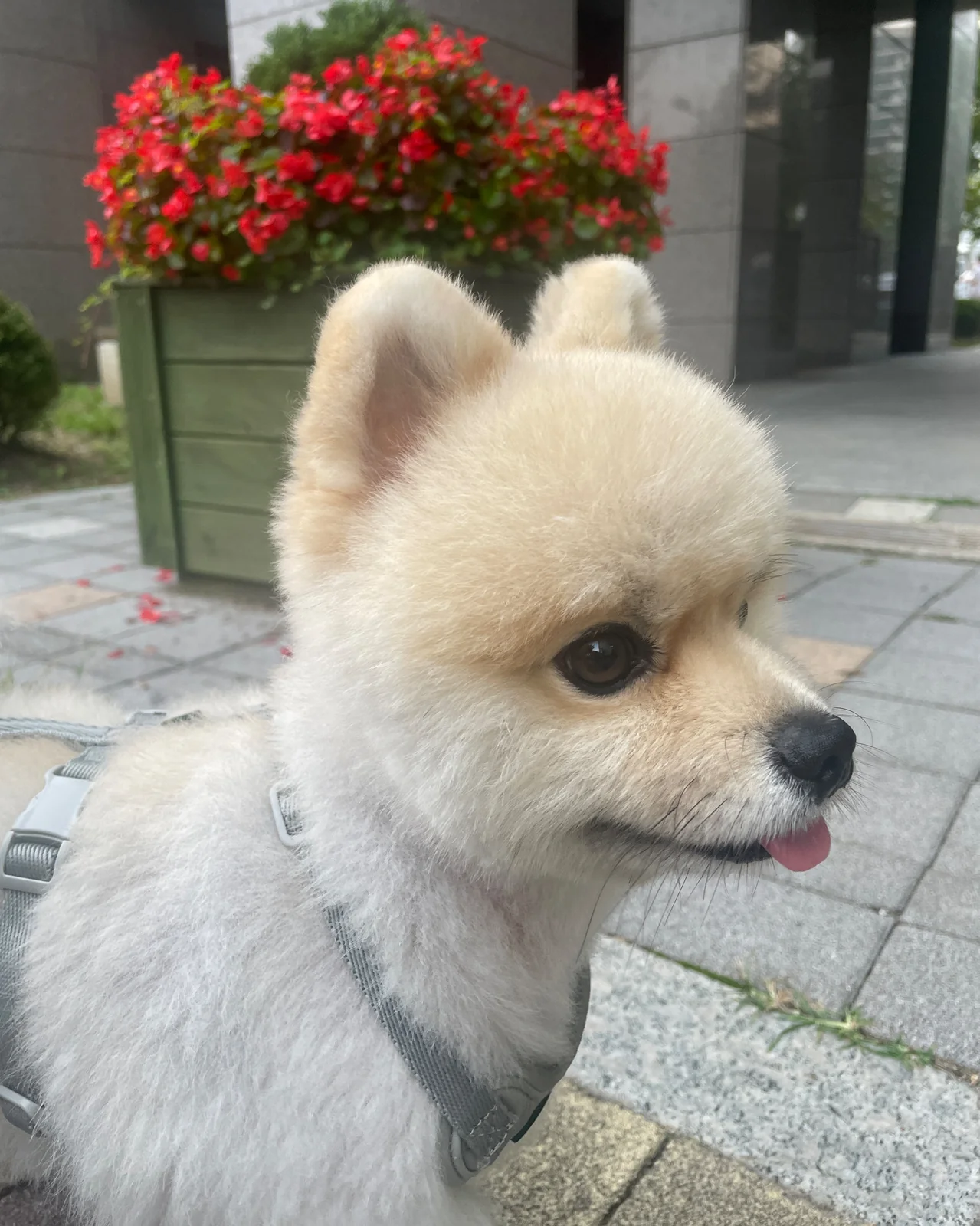 창현동물병원 사진 2