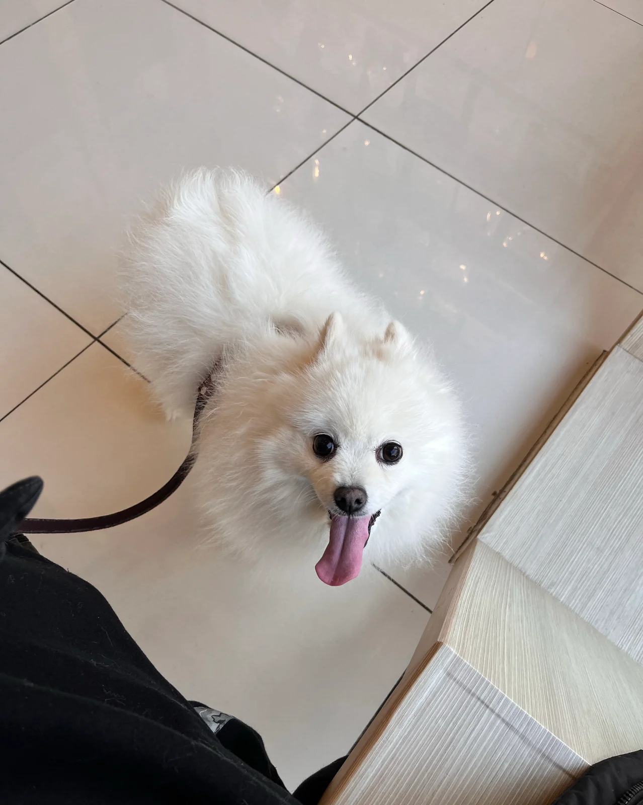 리뷰 사진 3