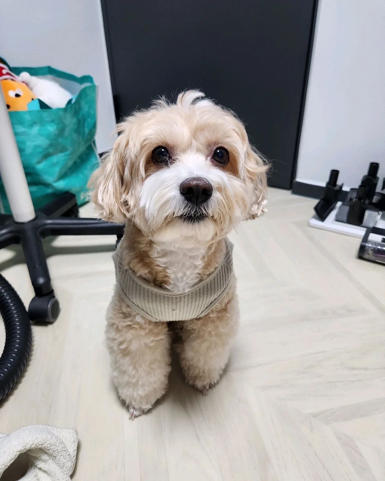 리뷰 사진 3