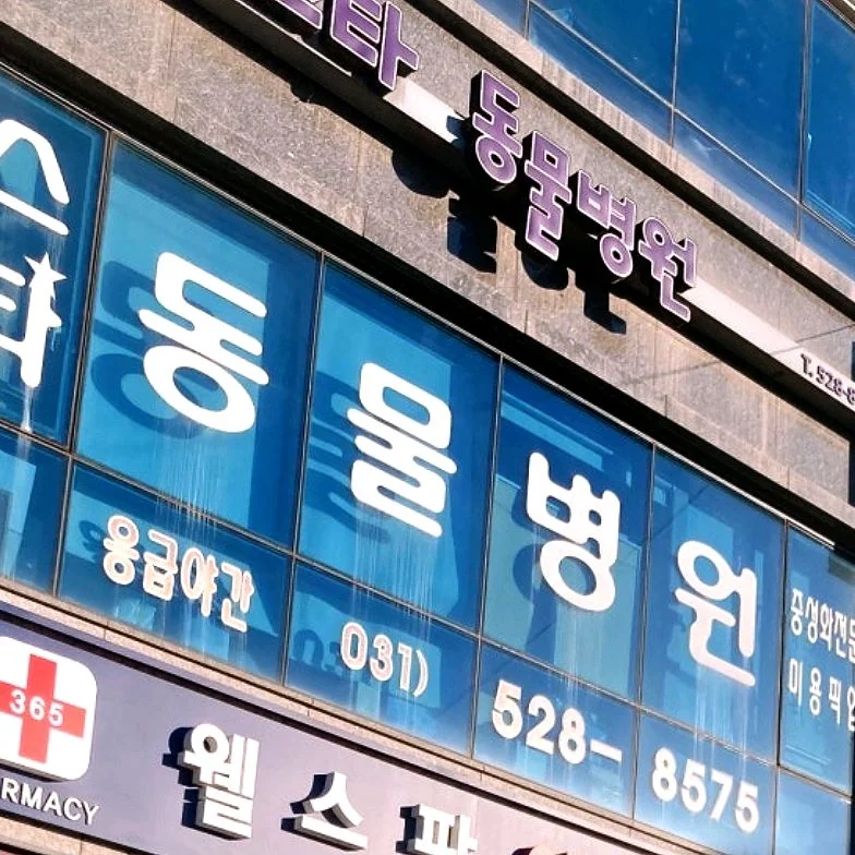 리뷰 사진 1
