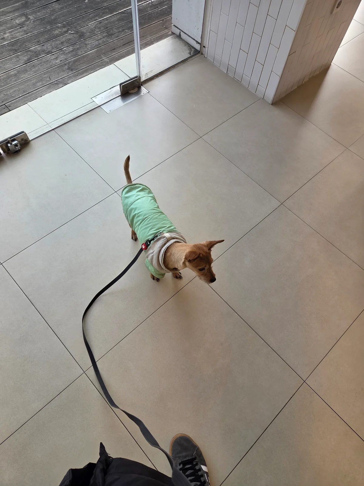리뷰 사진 1