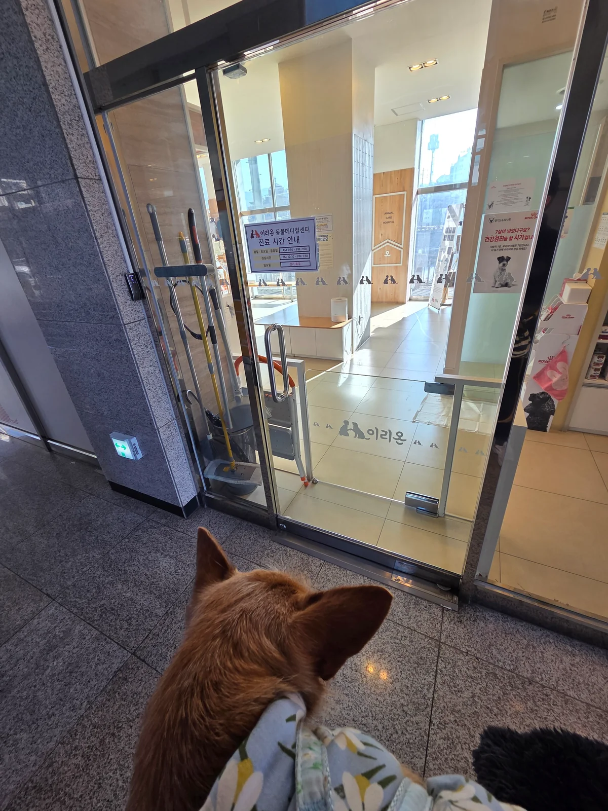 리뷰 사진 1