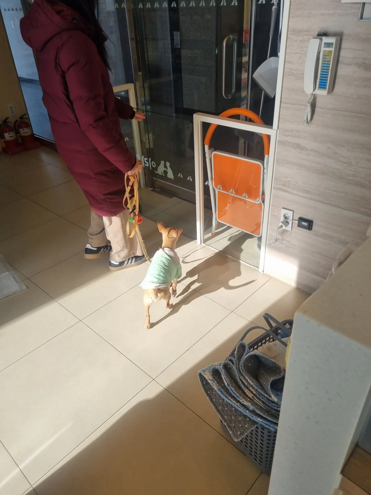 리뷰 사진 2