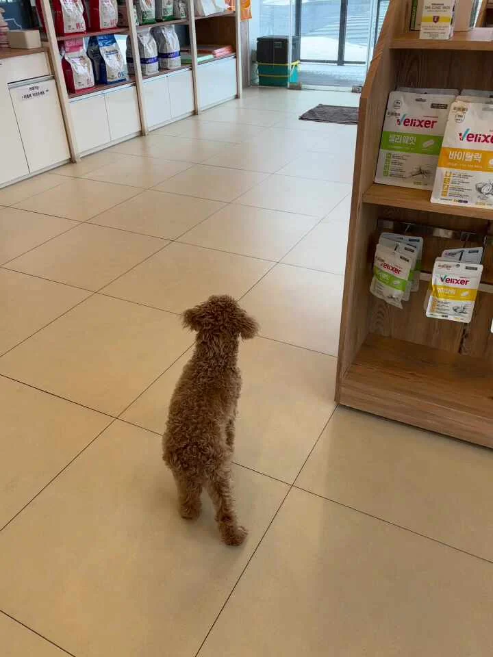리뷰 사진 1