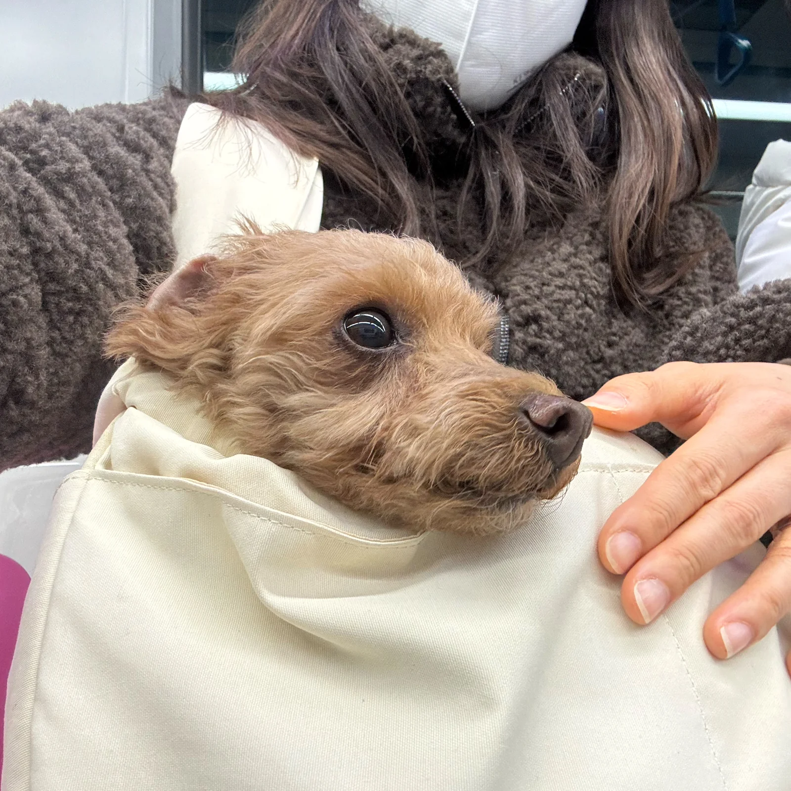 리뷰 사진 1