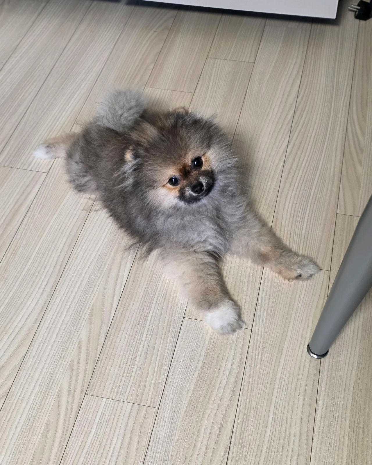 리뷰 사진 1