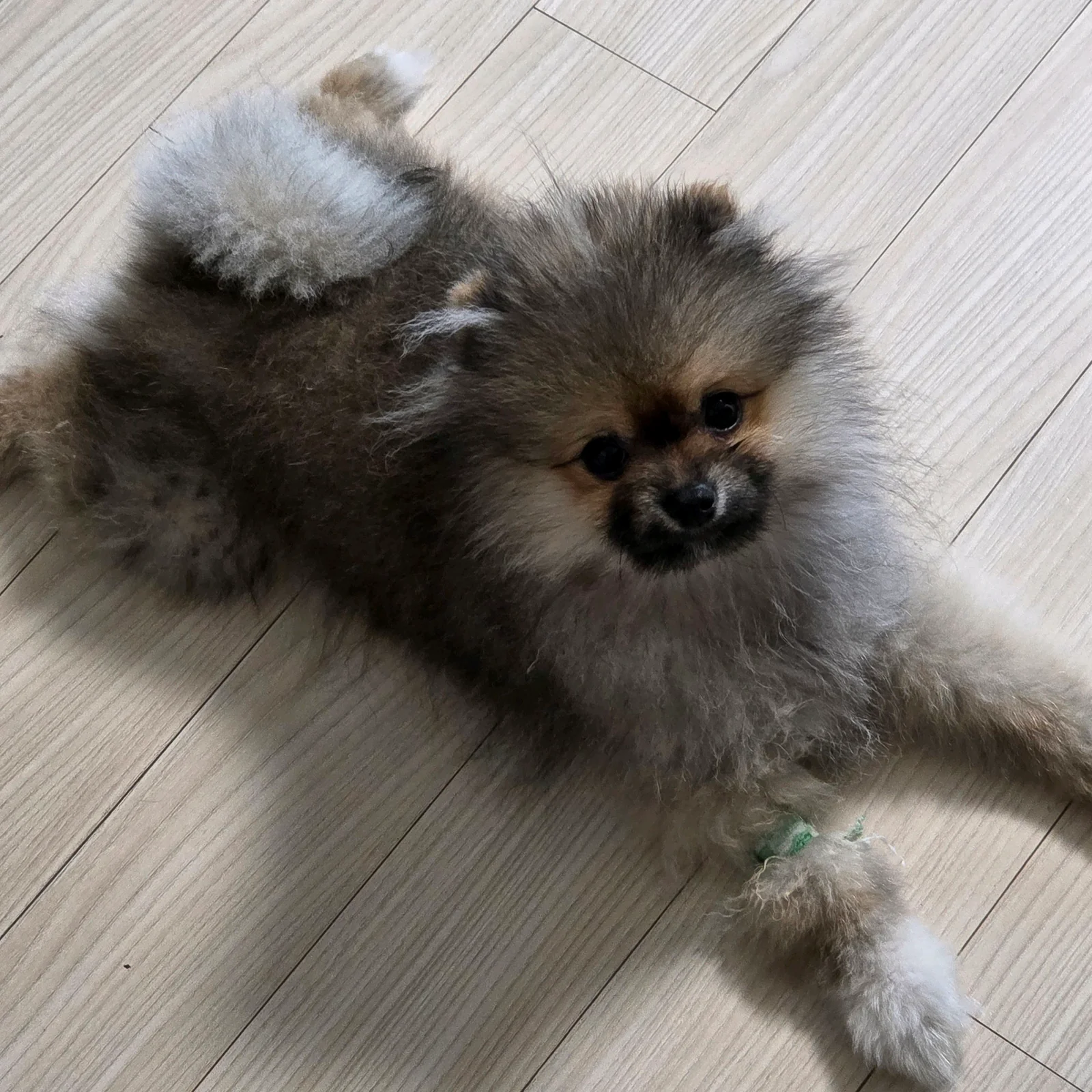 리뷰 사진 1