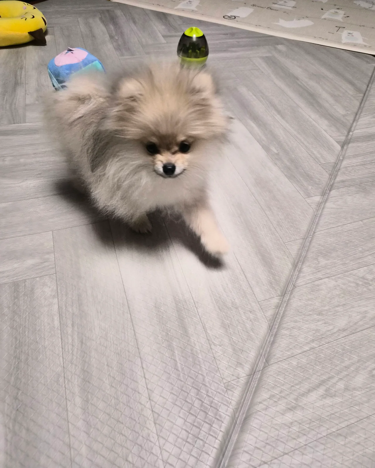 리뷰 사진 1