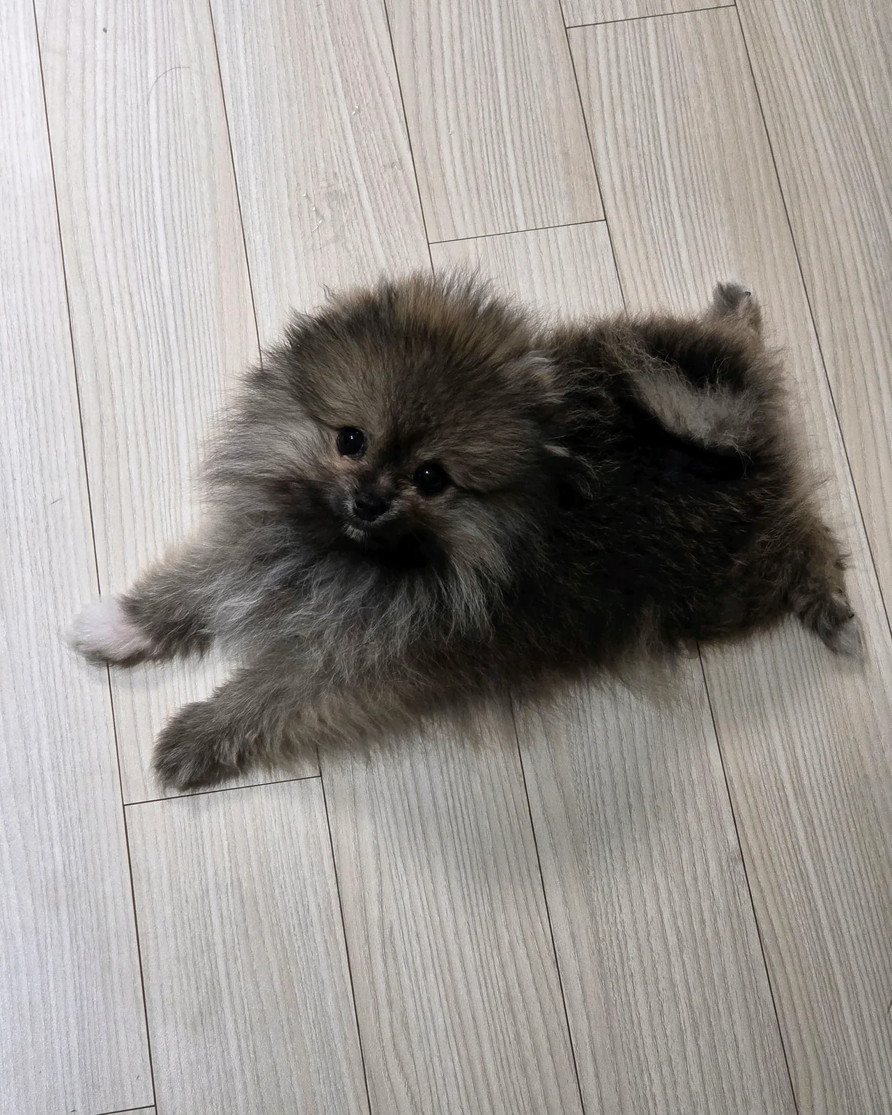 리뷰 사진 1